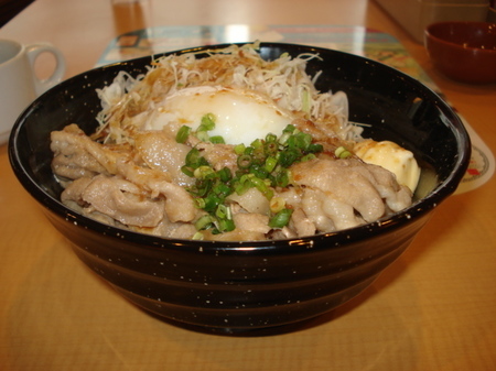 gust-buta-staminadon7.jpg